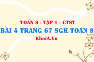 Bài 4 trang 67 SGK Toán 8 Tập 1 Chân trời sáng tạo